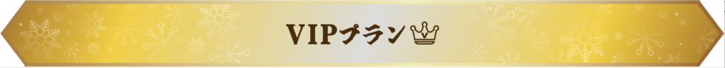 壱カジのVIPプログラムはどんな内容？